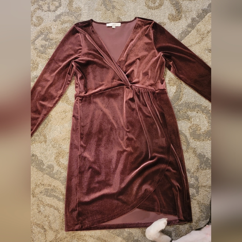LOFT Burgundy Velvet Dress